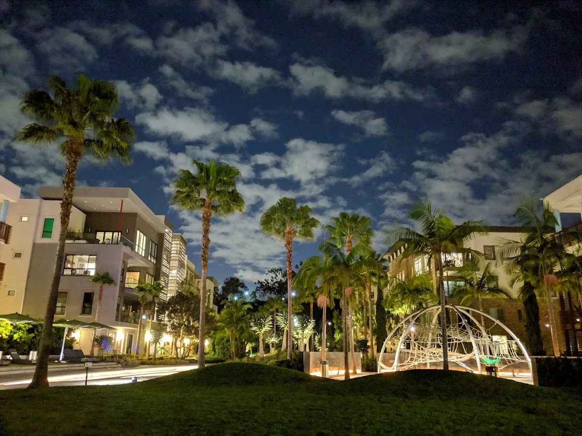The Lawn