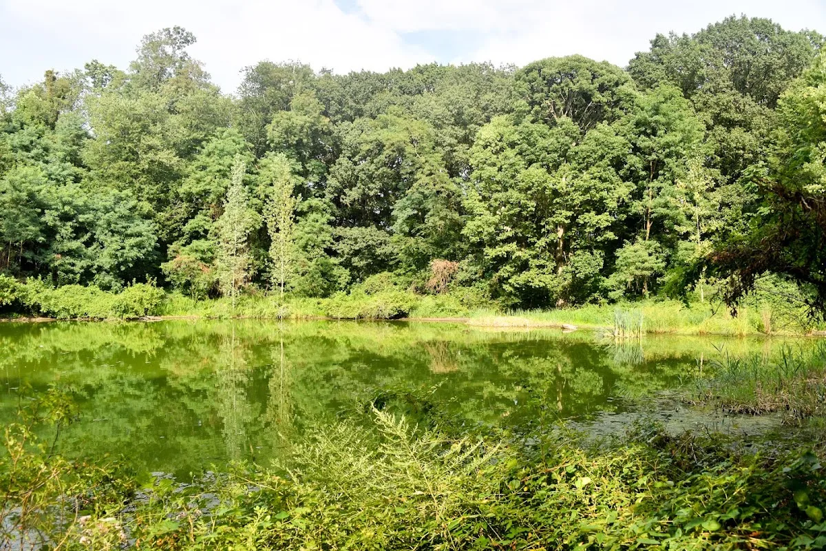 Forest Park