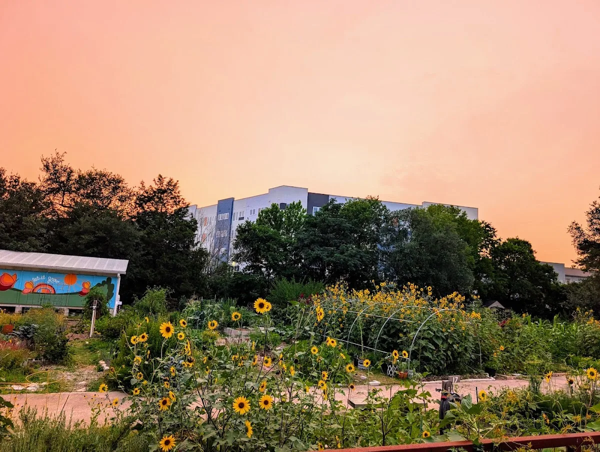 St David's Foundation Community Garden