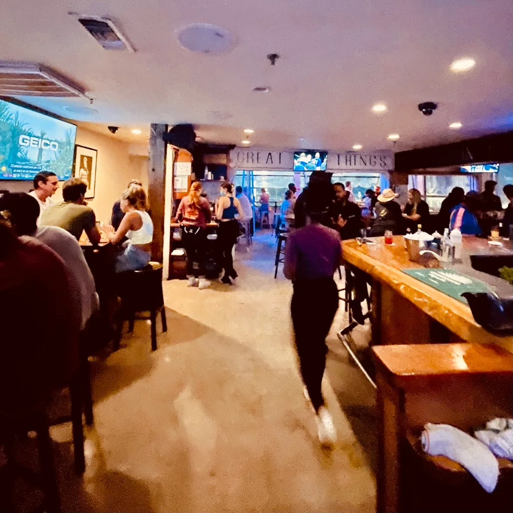 Nalu Vida Venice Beach