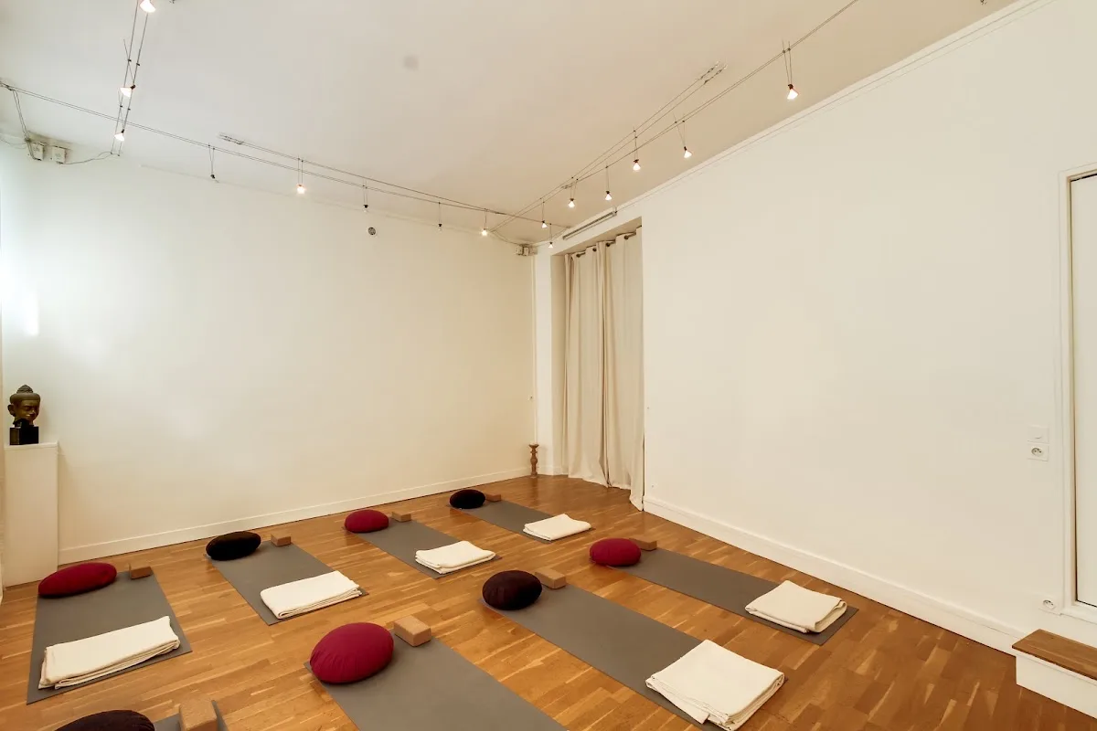 Yay Joseph De Maistre : Le Yoga Pour Tous