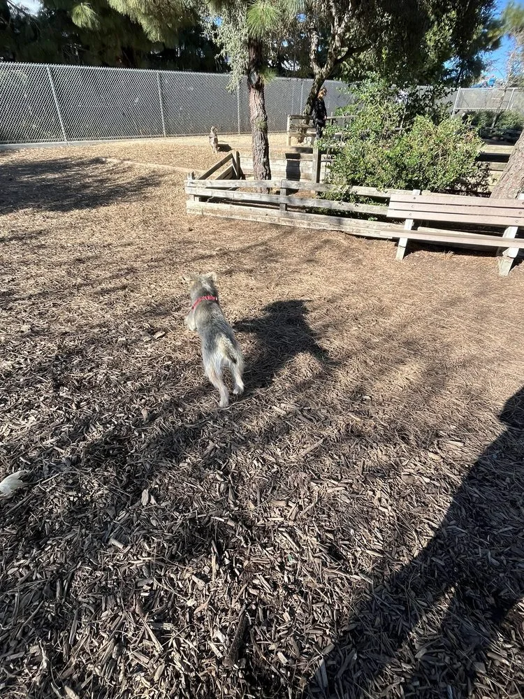 Airport Park