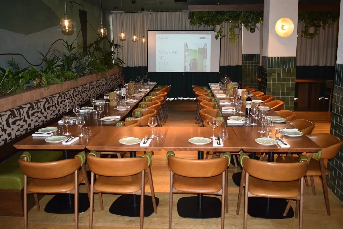 Olea Social