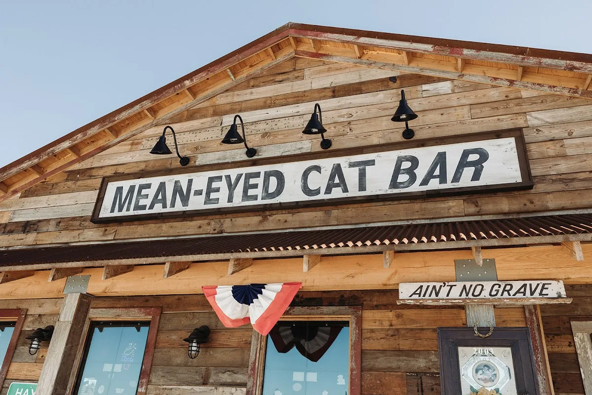 Mean Eyed Cat Driftwood