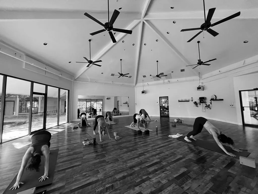 Yoga Vida
