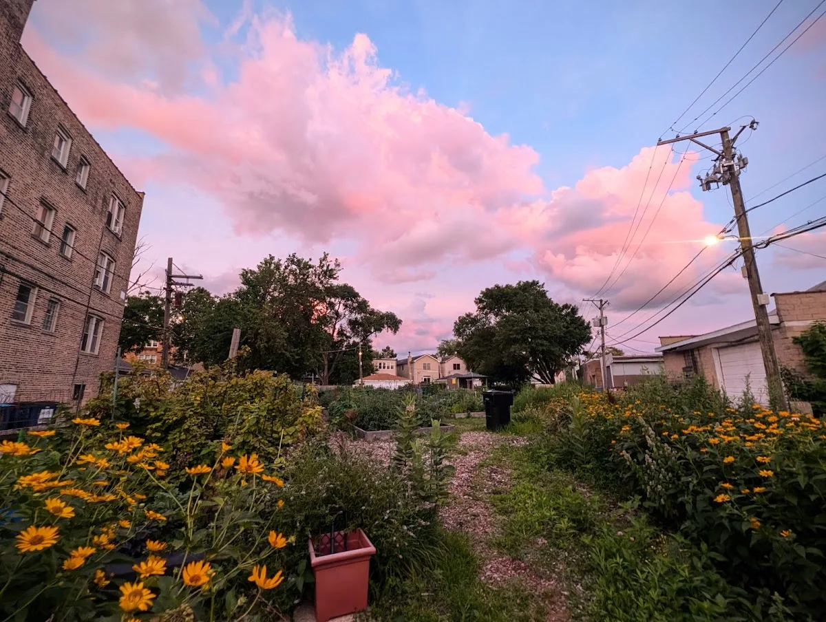 Merchant Park Community Garden
