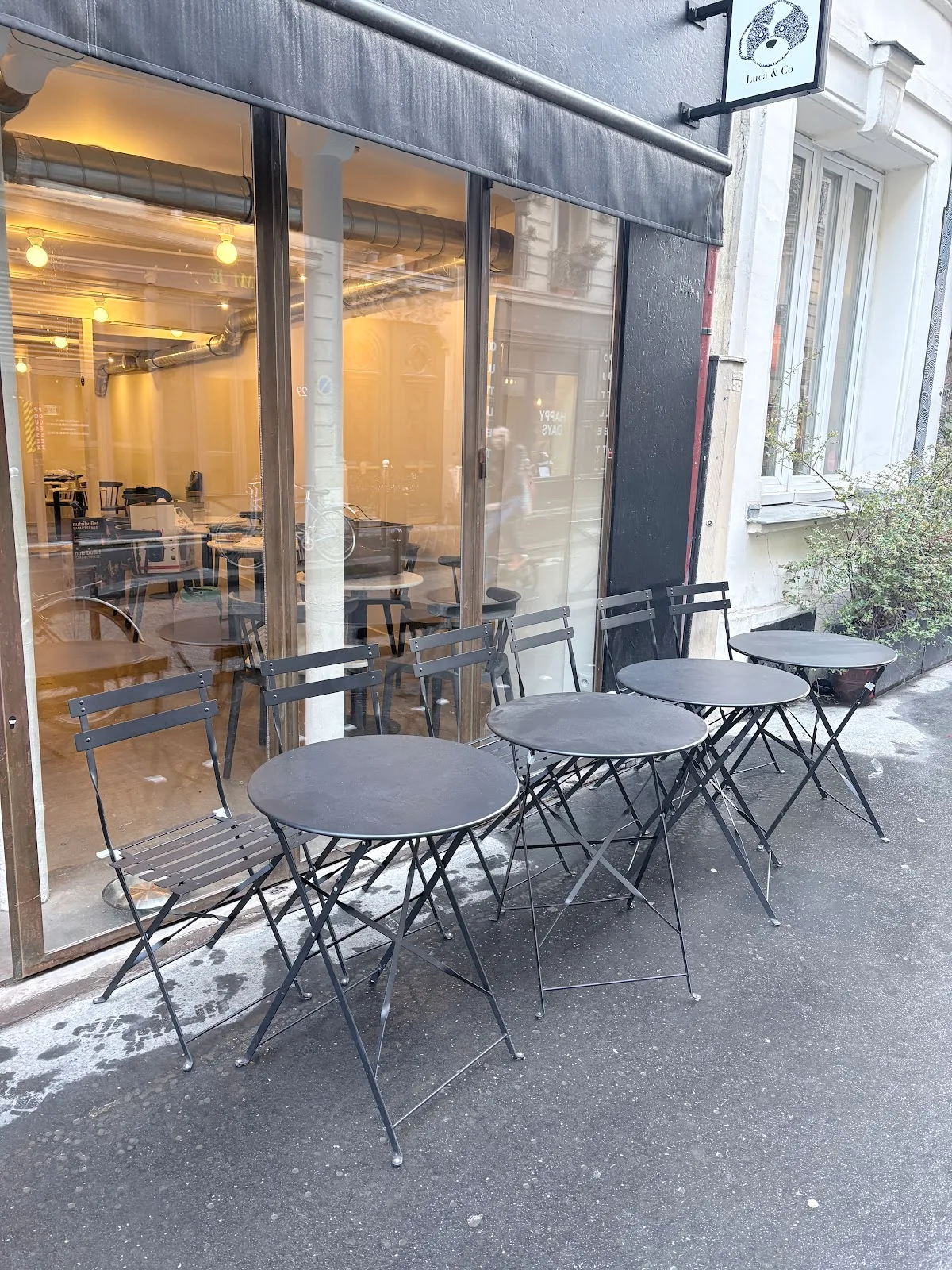 Luca & Co Paris - Dog Owned Coffee & Brunch 🐾