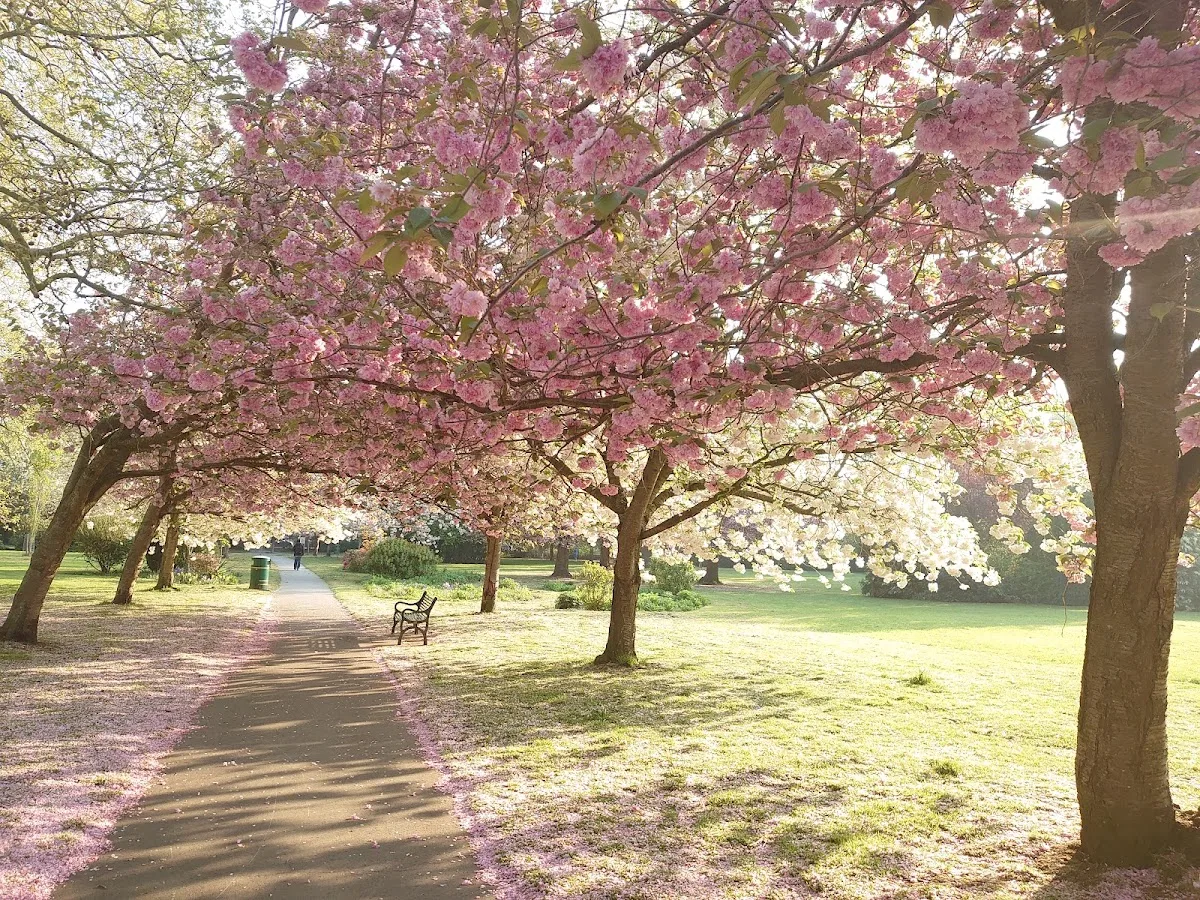 Lewisham Park