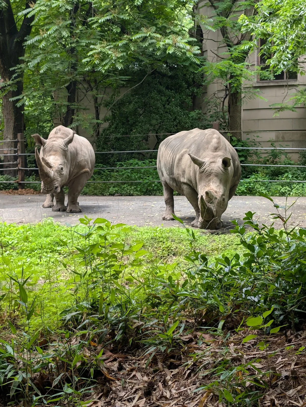 Zoo Brews