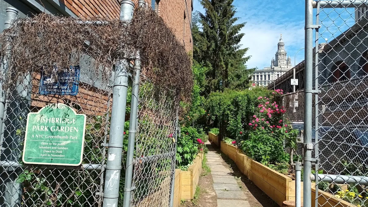 FishBridge Park Garden