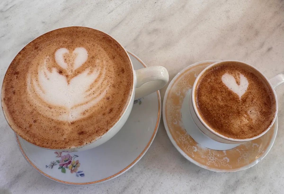 Camelia Art Café