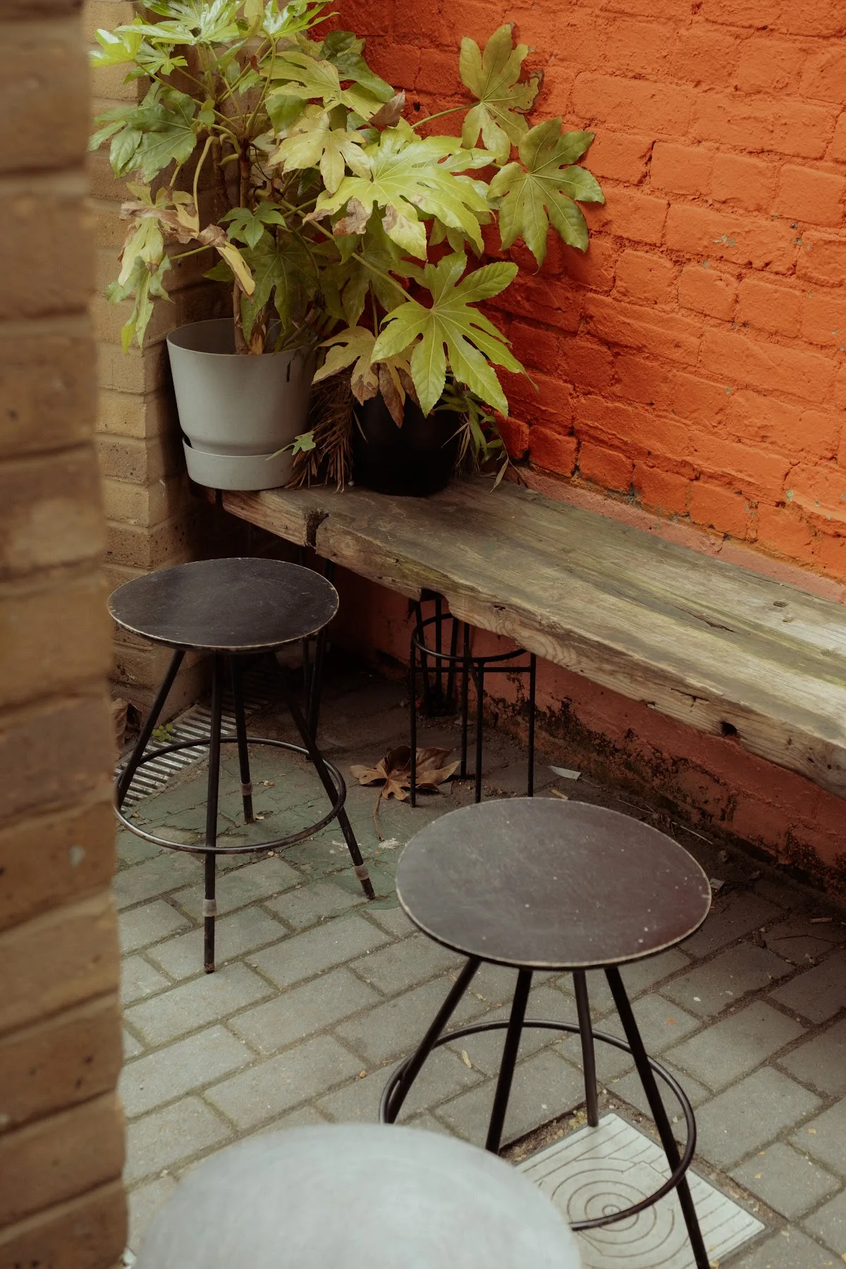Nostos Coffee