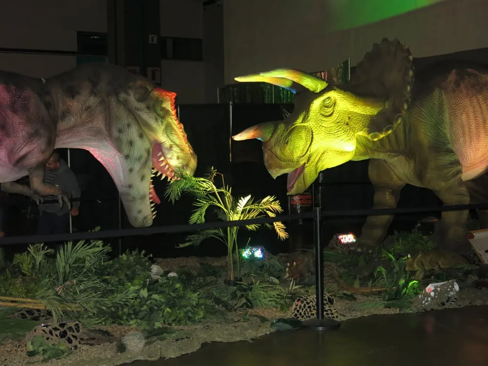 Discover The Dinosaurs