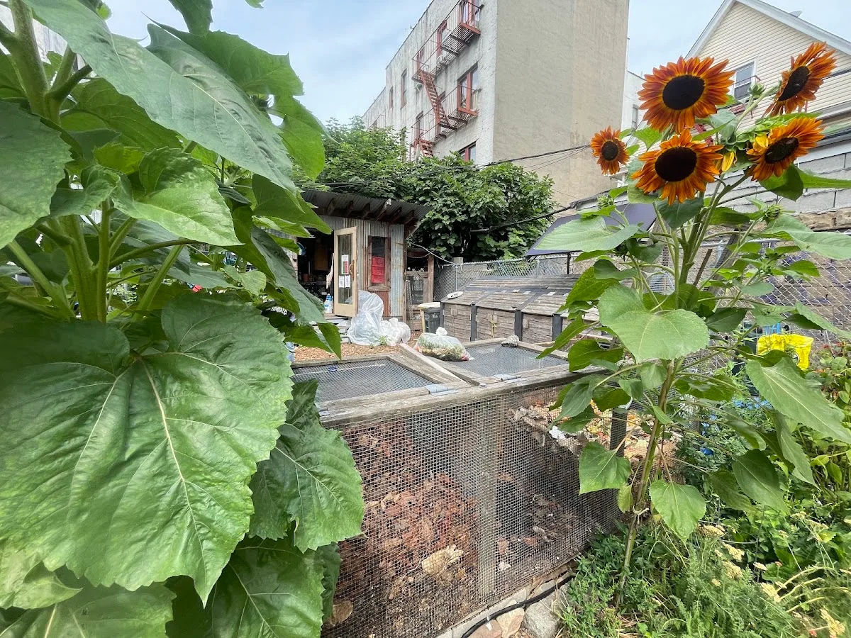 Maple Street Community Garden