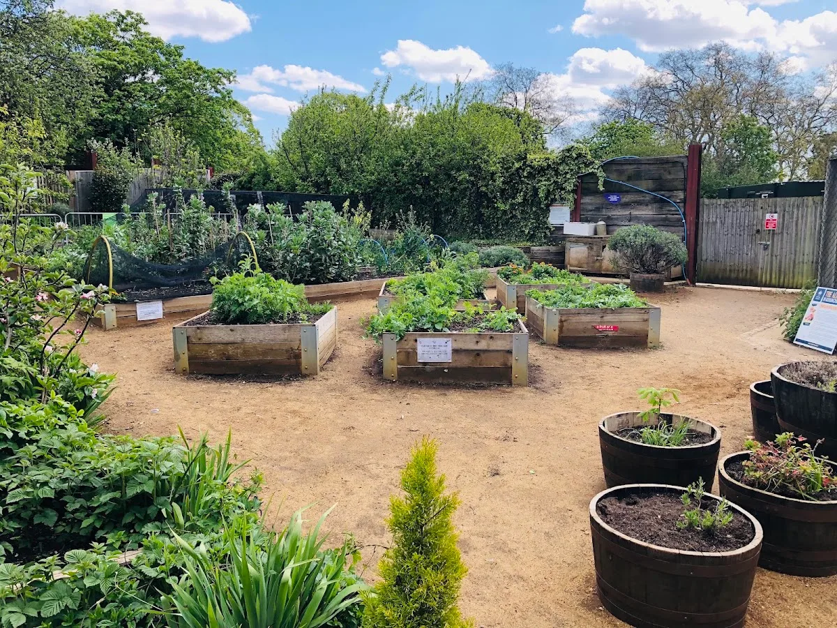 Kensington Gardens Allotment