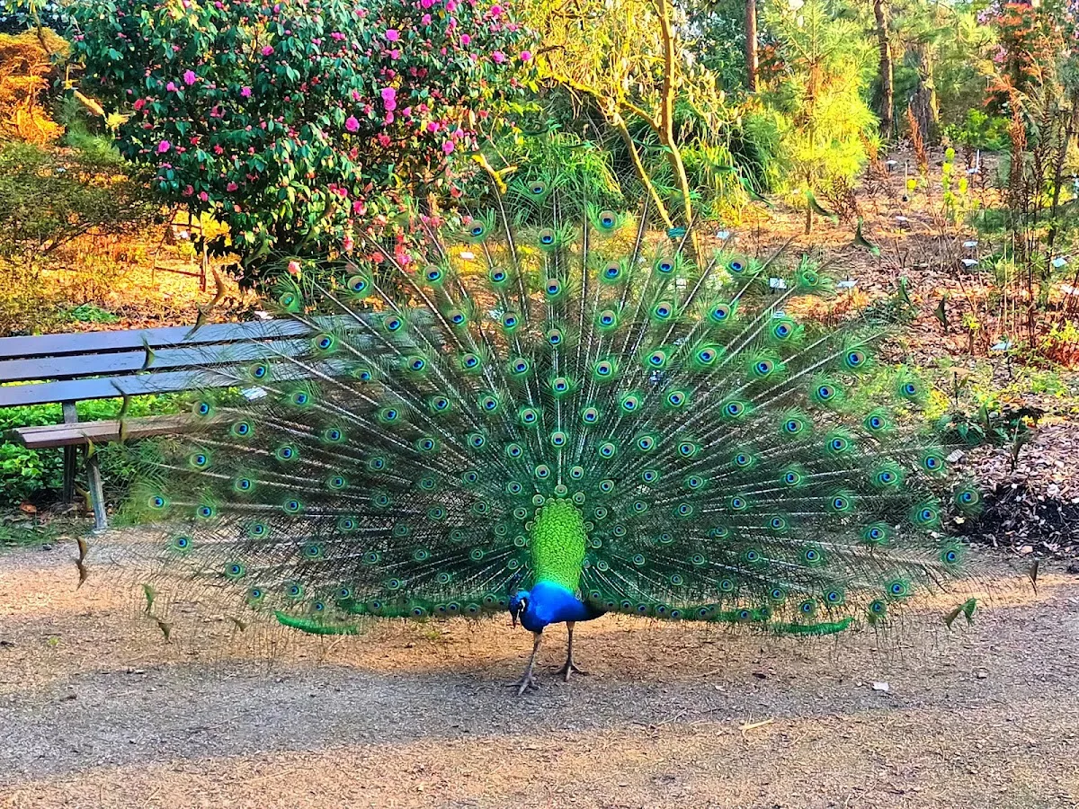 Parc Floral de Paris