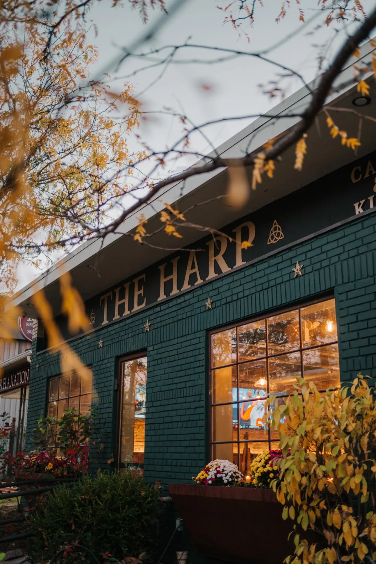 The Harp