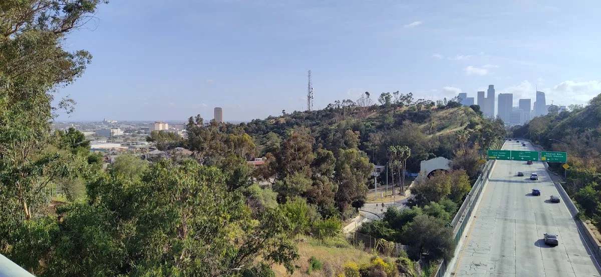 Solano Canyon Community Garden