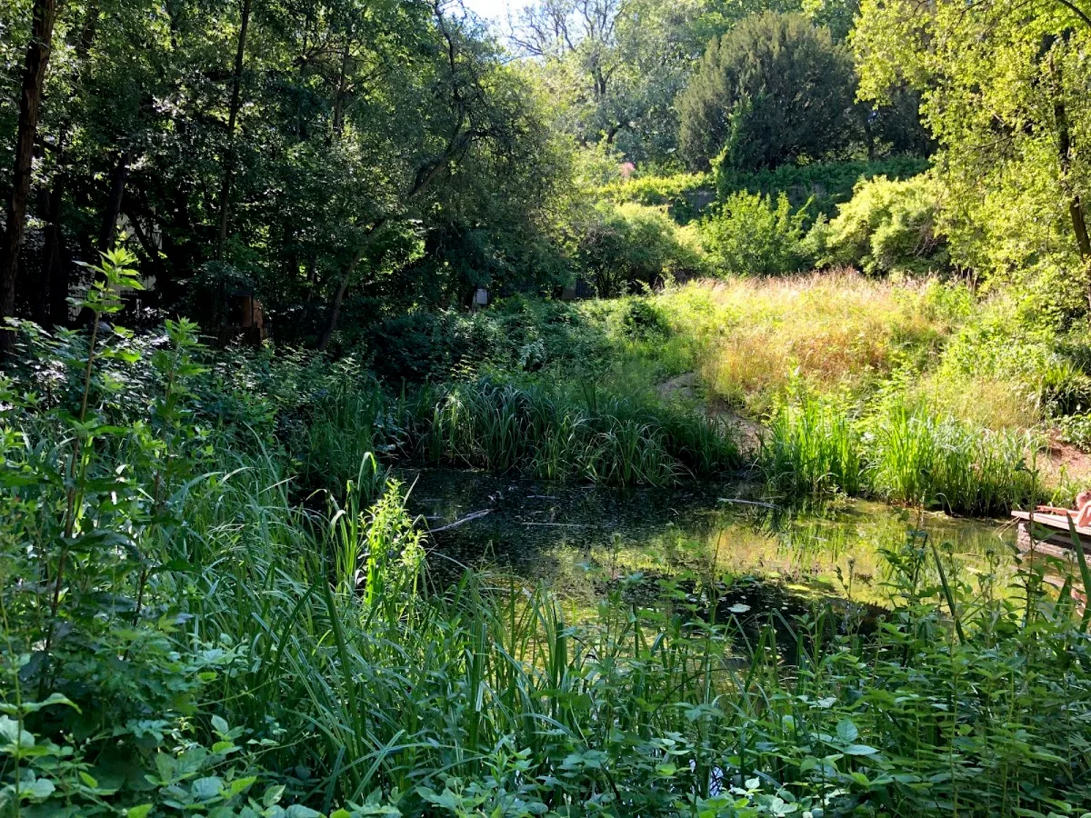 Pierre-Emmanuel naturel Garden
