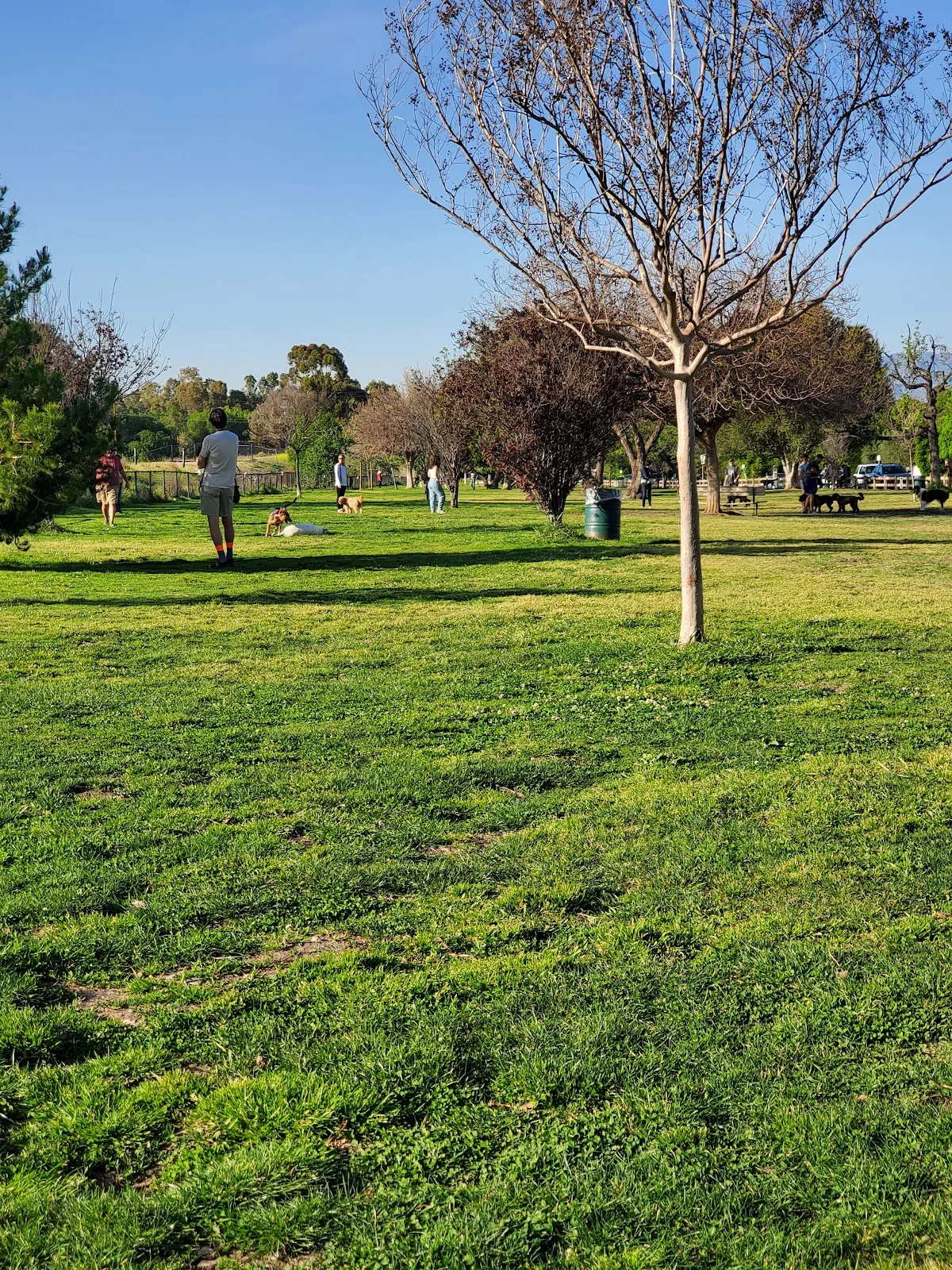 Libbit Park