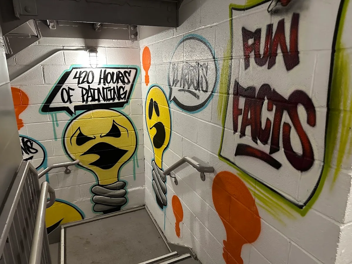 Museum of Street Art (MoSA)