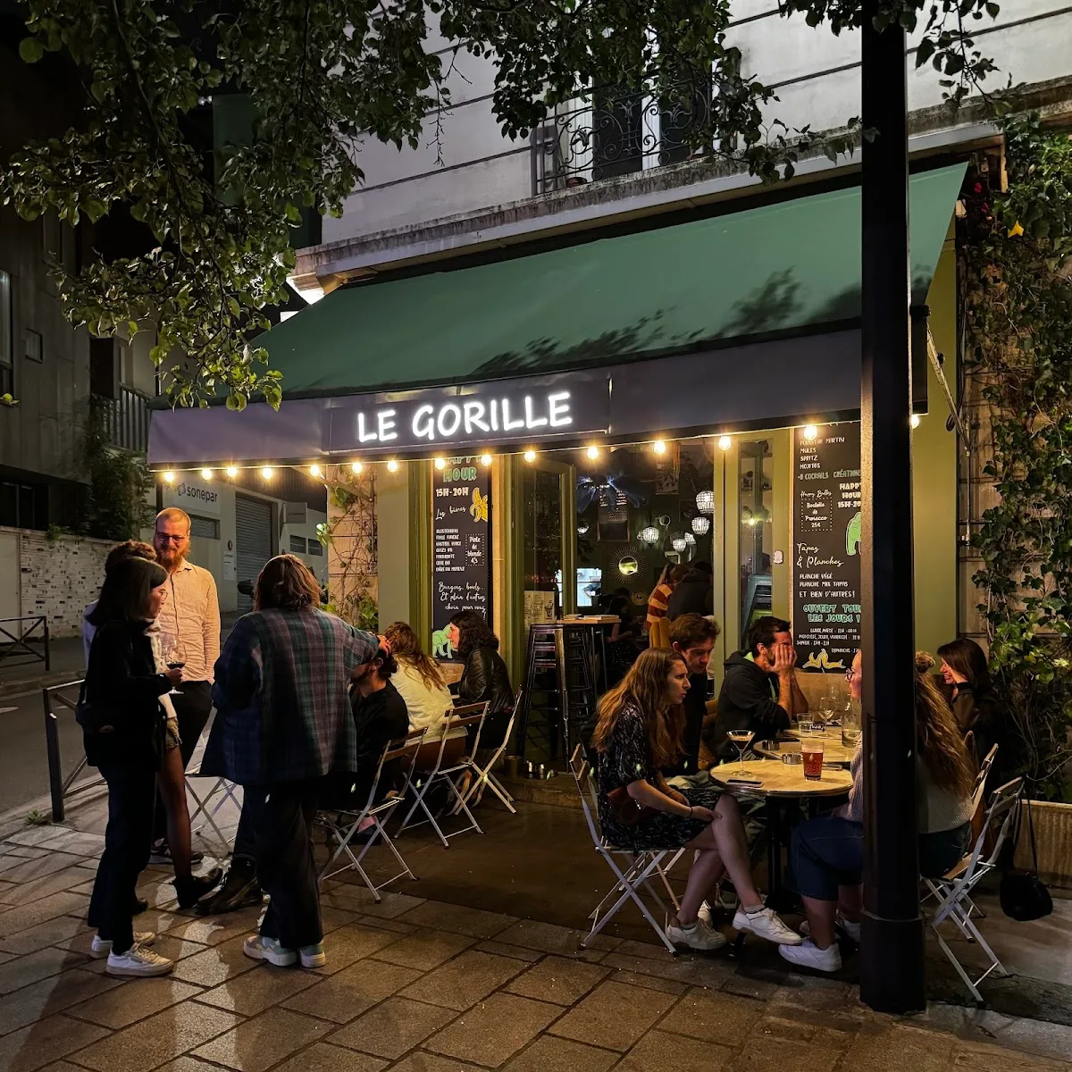 Le gorille
