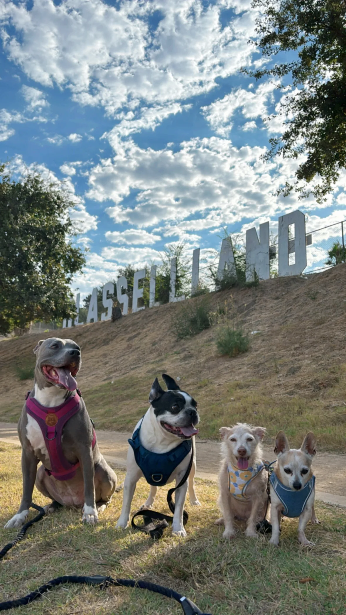 GLASSELL LAND