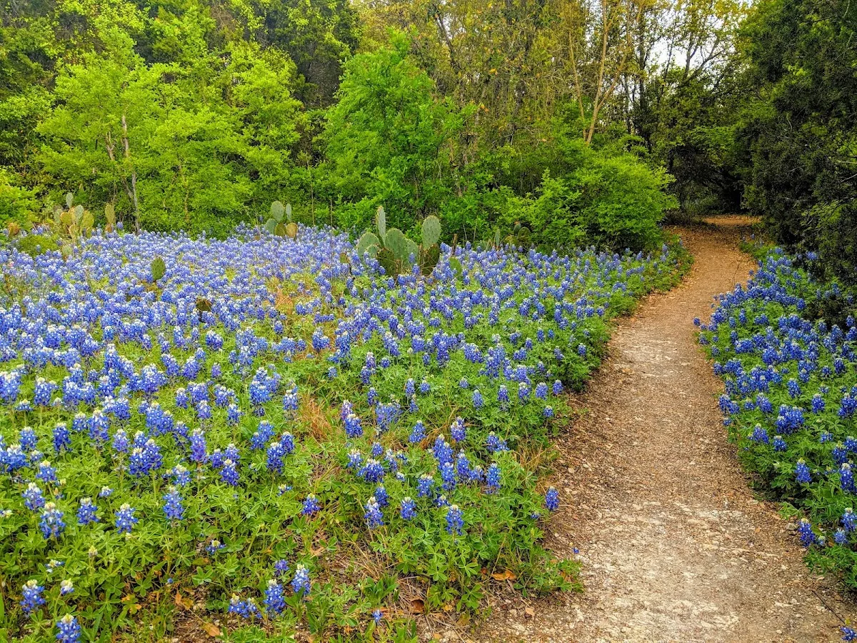 Blunn Creek Nature Preserve