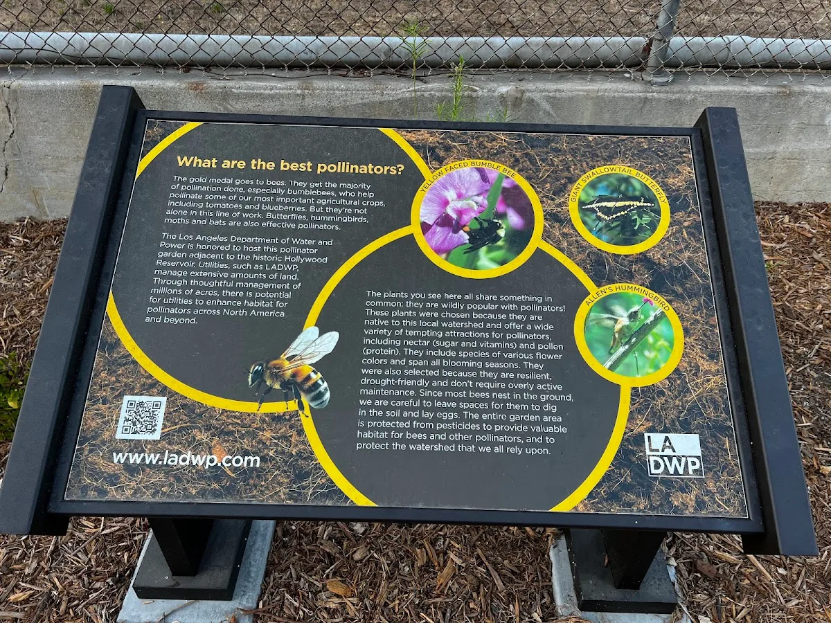 Hollywood Reservoir Pollinator Garden