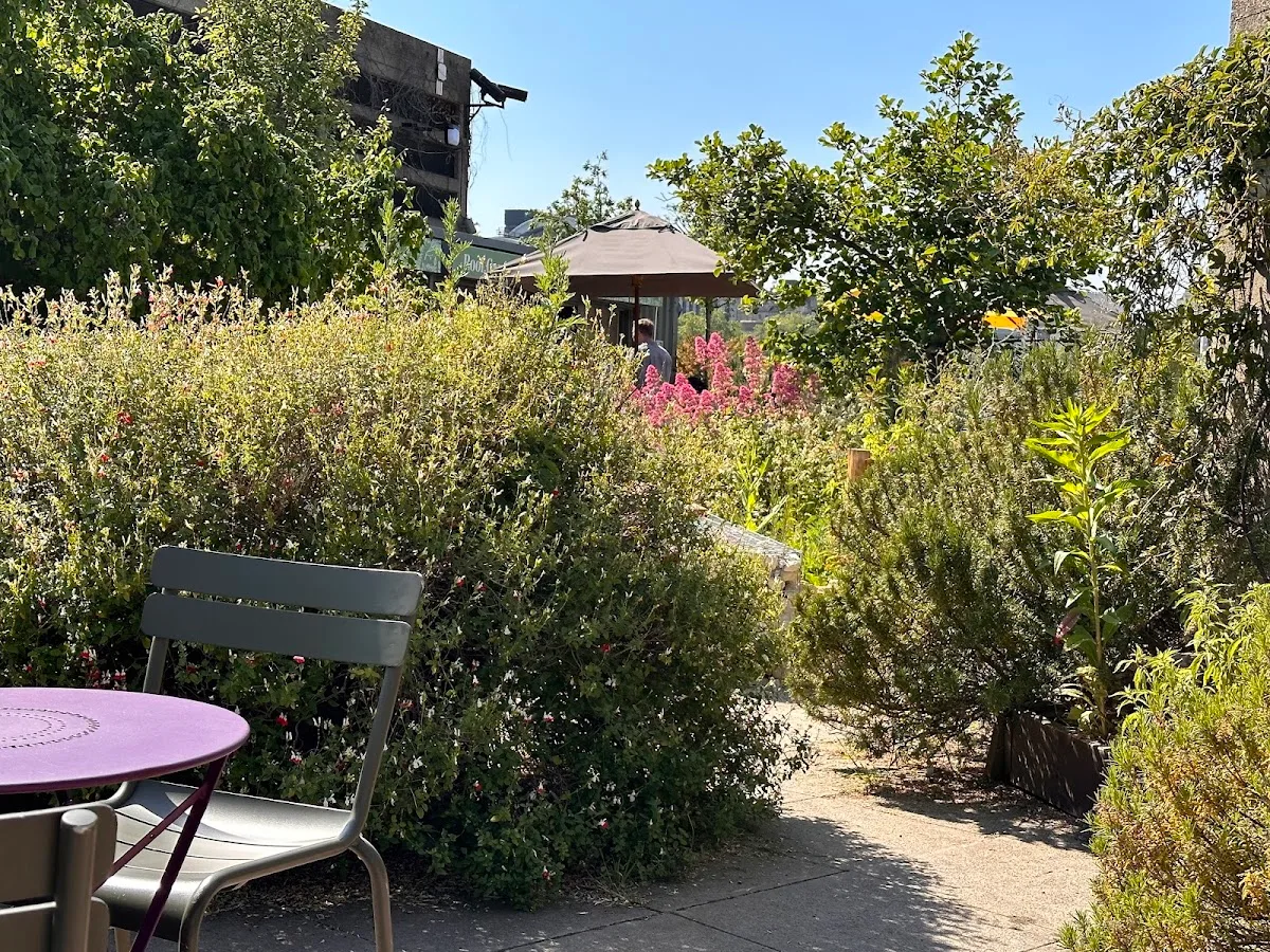 Queen Elizabeth Hall Roof Garden