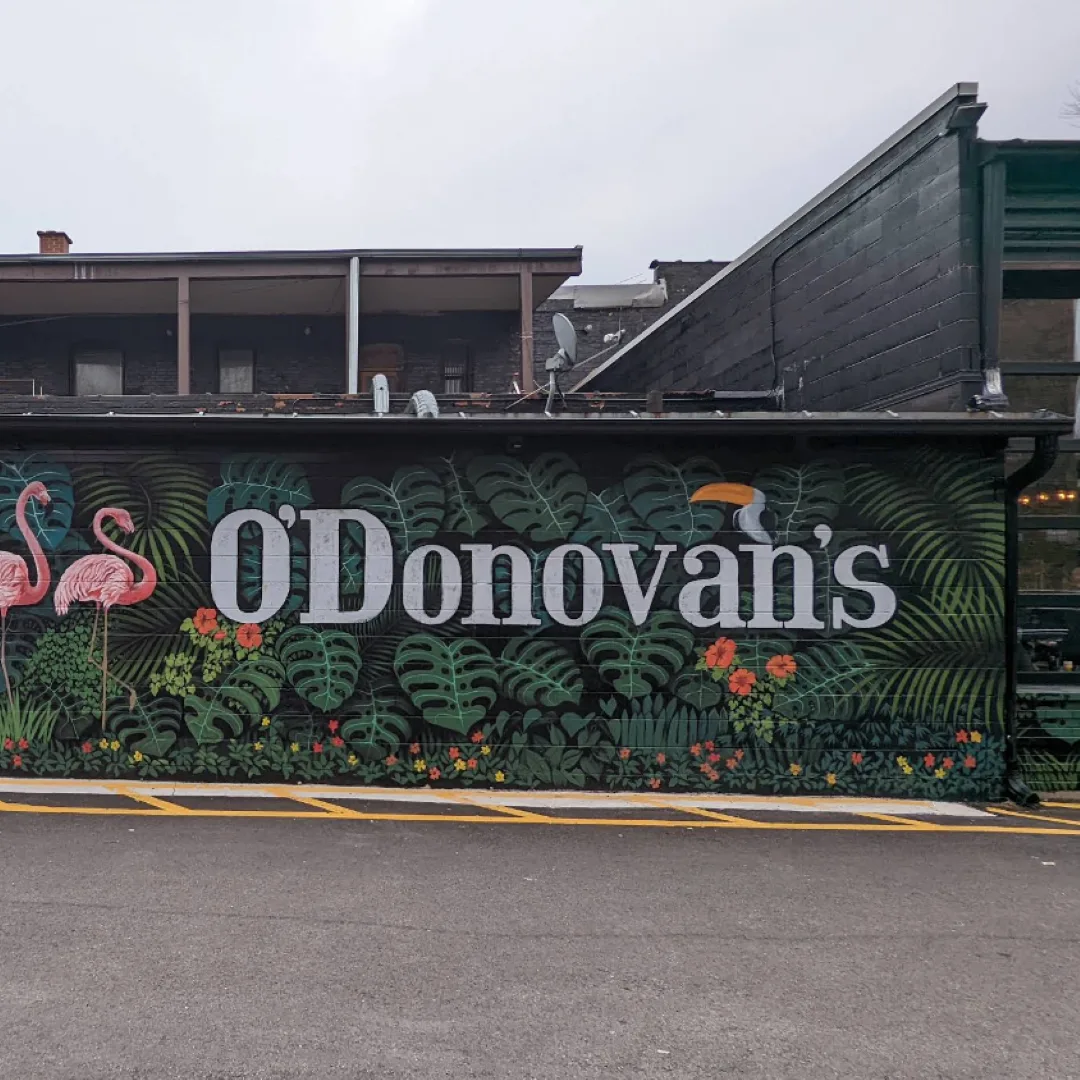 O'Donovan's