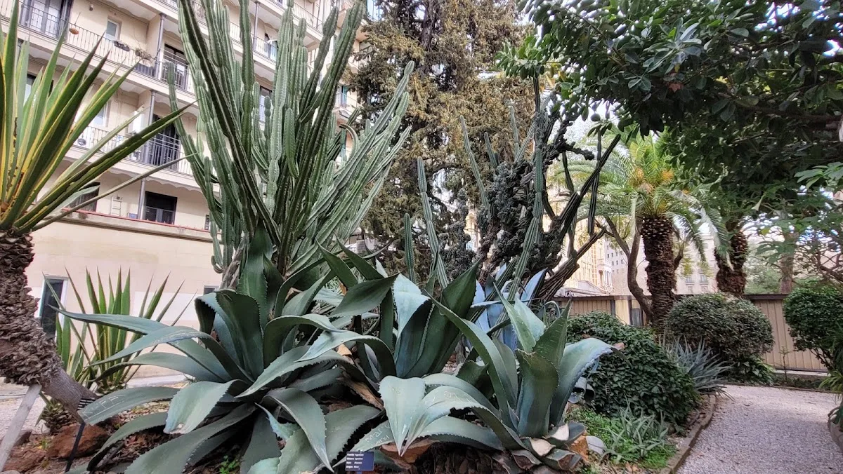Ferran Soldevila Garden
