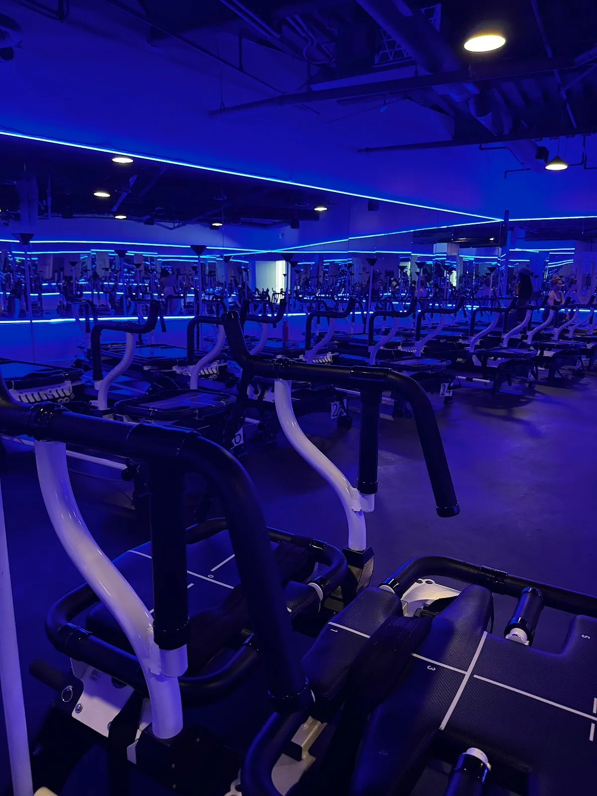 The Megaformer Studio