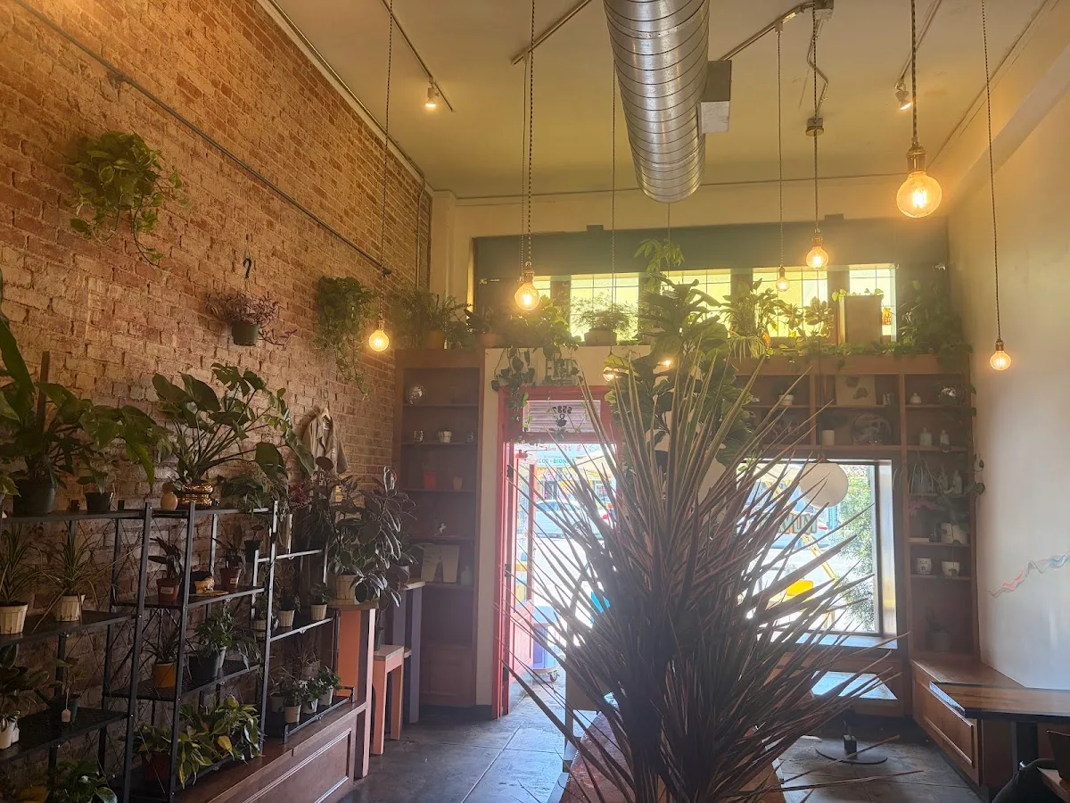 KUYAS Boutique & Cafe