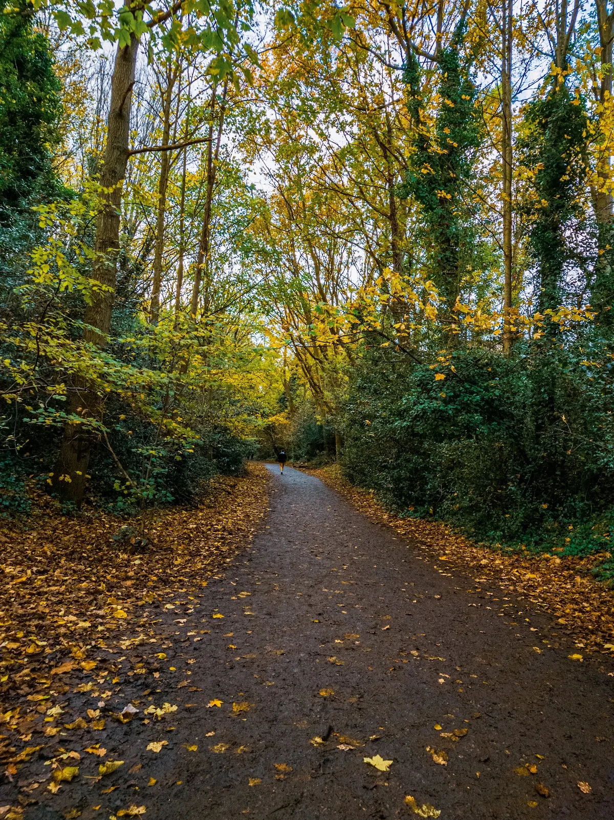 Parkland Walk