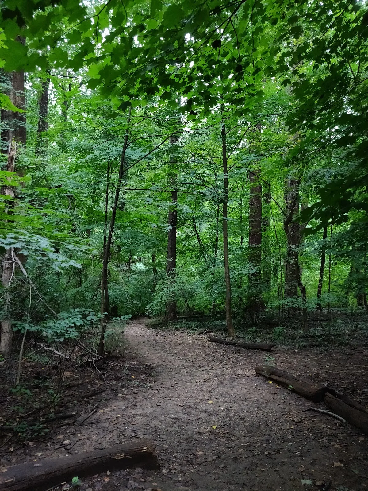 Glover Archbold Park