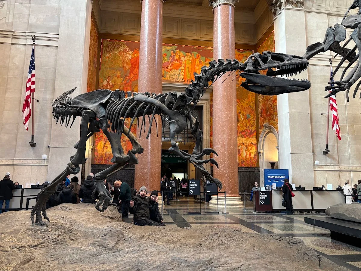 81st Street–Museum of Natural History