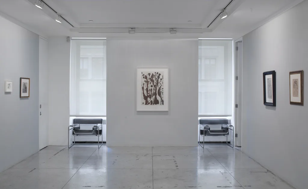 Jason McCoy Gallery