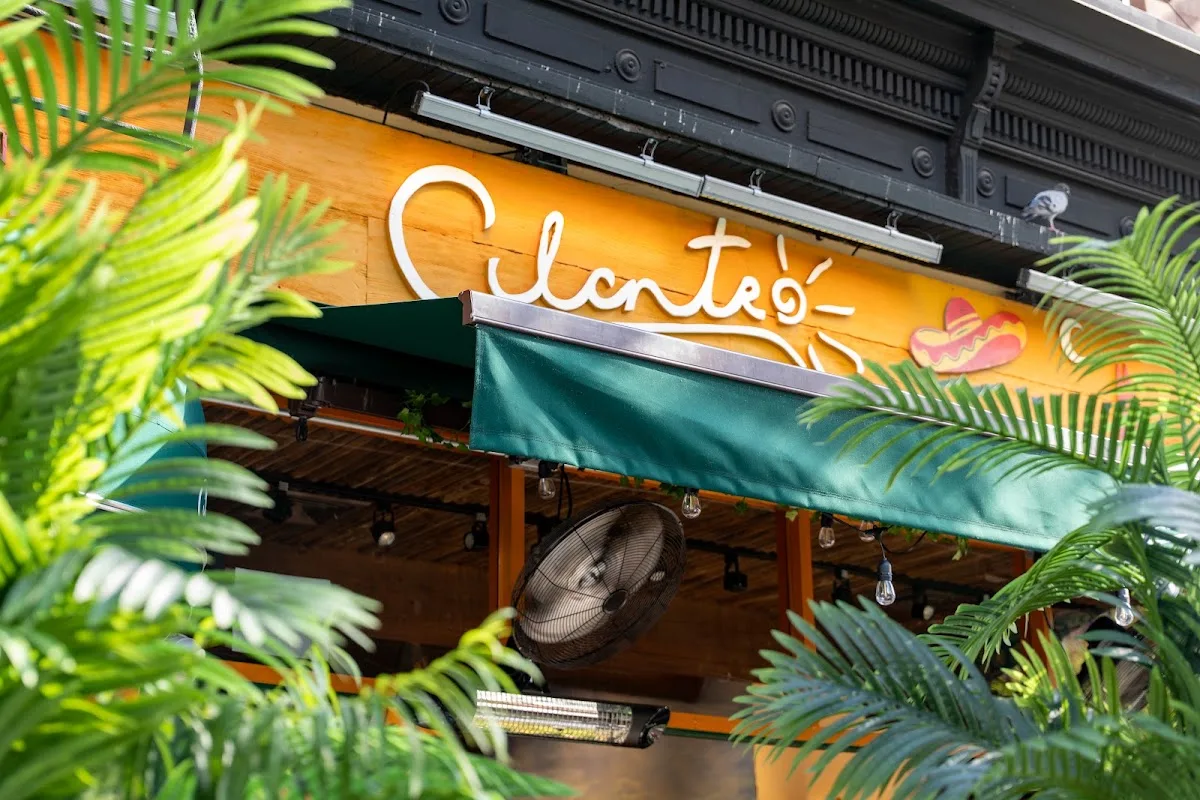 Cilantro