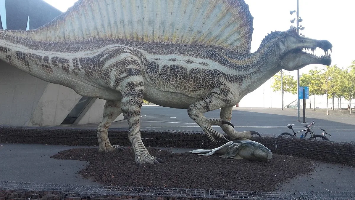 Museum of Natural Sciences of Barcelona