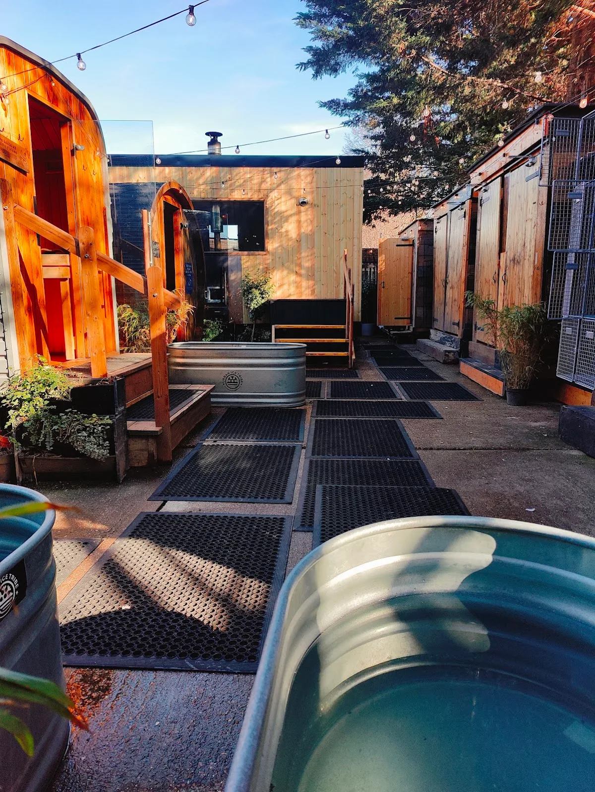 Innervisions Alchemy | Bermondsey Sauna & Cold Plunge