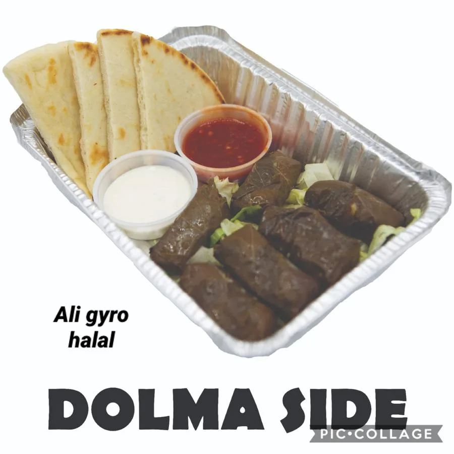 Austin Gyro Halal