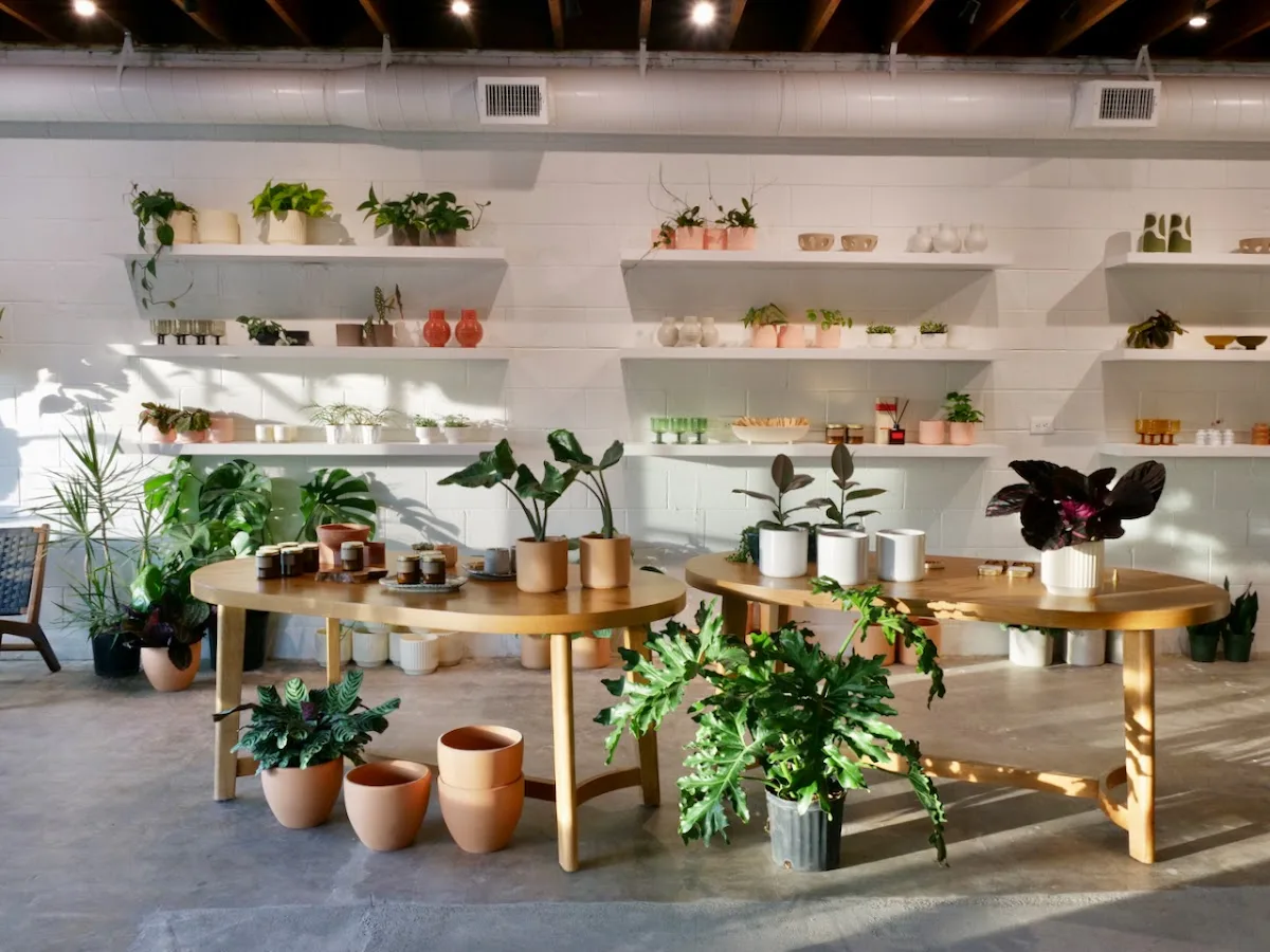 Flourish Plant Shop & Wine Bar