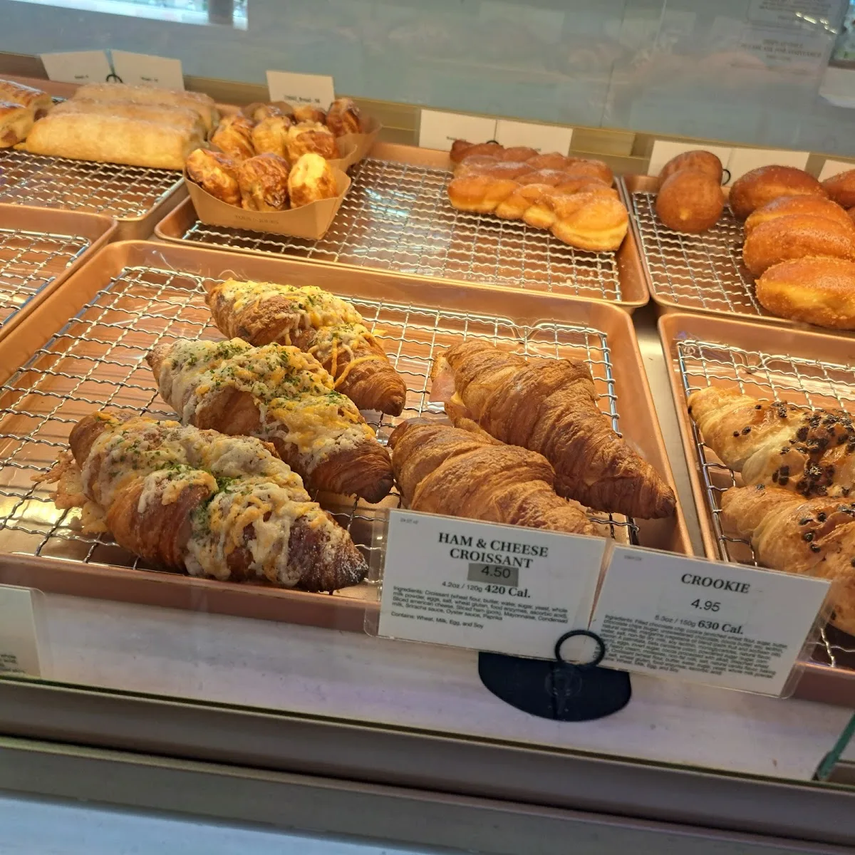 Tous Les Jours Bakery and Cafe